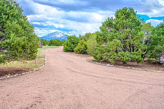 3225 County Road 510, Walsenburg, CO 81089 - photo 2