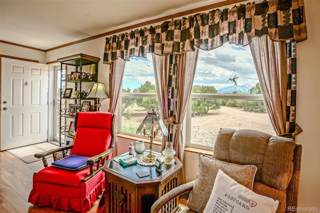 3225 County Road 510, Walsenburg, CO 81089 - photo 4