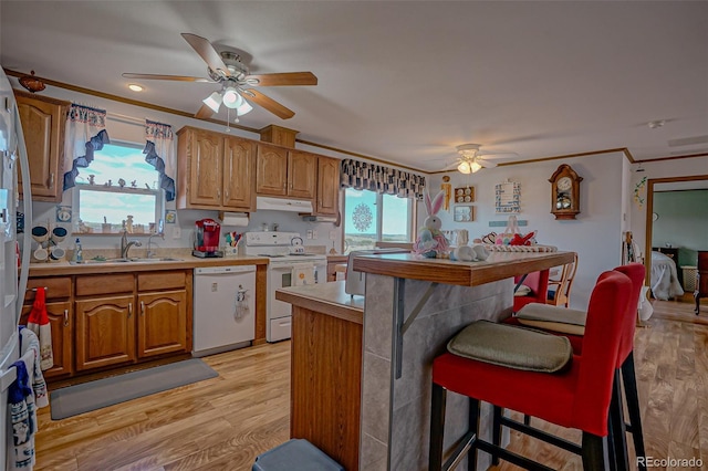 3225 County Road 510, Walsenburg, CO 81089 - photo 6