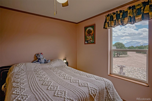 3225 County Road 510, Walsenburg, CO 81089 - photo 13