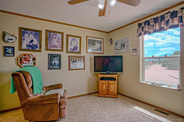 3225 County Road 510, Walsenburg, CO 81089 - photo 14