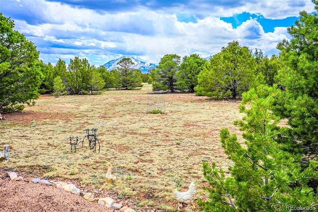 3225 County Road 510, Walsenburg, CO 81089 - photo 20