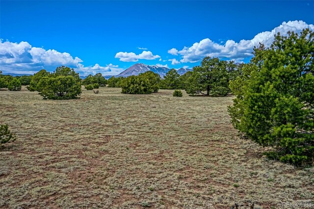 3225 County Road 510, Walsenburg, CO 81089 - photo 21