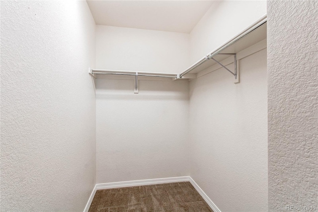 804 Summer Hawk Dr Unit 3202, Longmont, CO 80504 - walk in closet featuring carpet floors