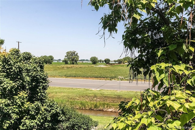 804 Summer Hawk Dr Unit 3202, Longmont, CO 80504 - view of yard