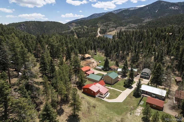 birds eye view of property with a mountain view