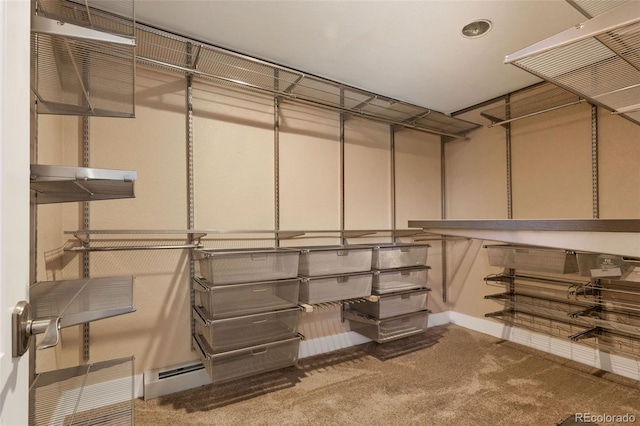 walk in closet with carpet flooring and a baseboard radiator