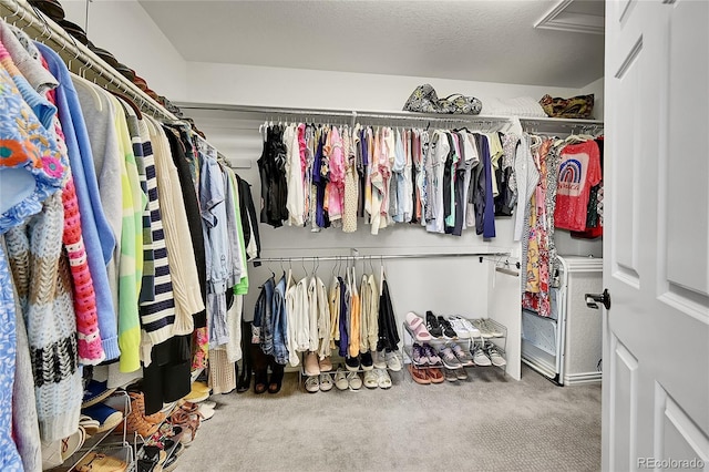 spacious closet featuring carpet floors