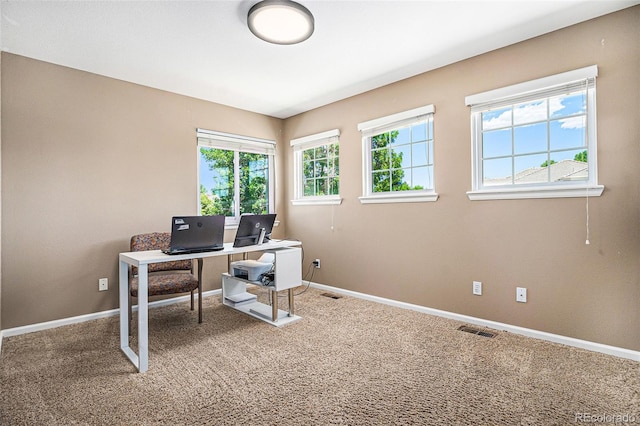 5569 S Helena St, Centennial, CO 80015 - office with carpet and baseboards
