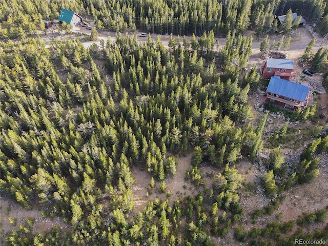 LOT328 Eva Rd, Idaho Springs, CO 80452
