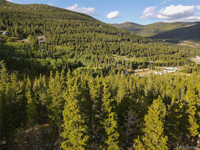 LOT328 Eva Rd, Idaho Springs, CO 80452