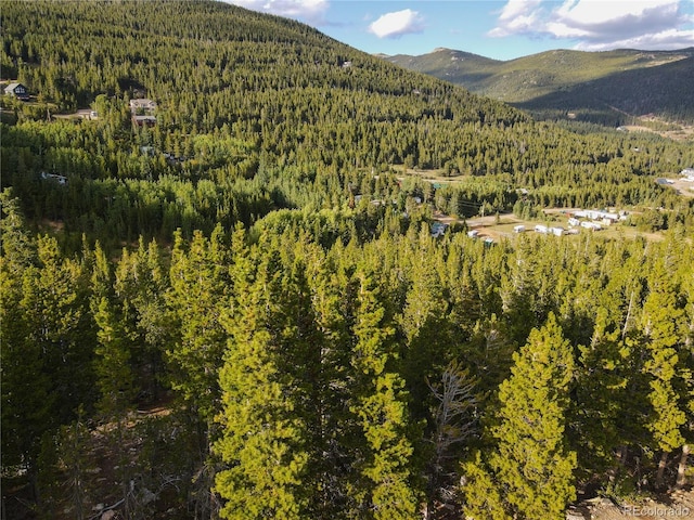 LOT328 Eva Rd, Idaho Springs, CO 80452