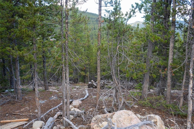 LOT328 Eva Rd, Idaho Springs, CO 80452
