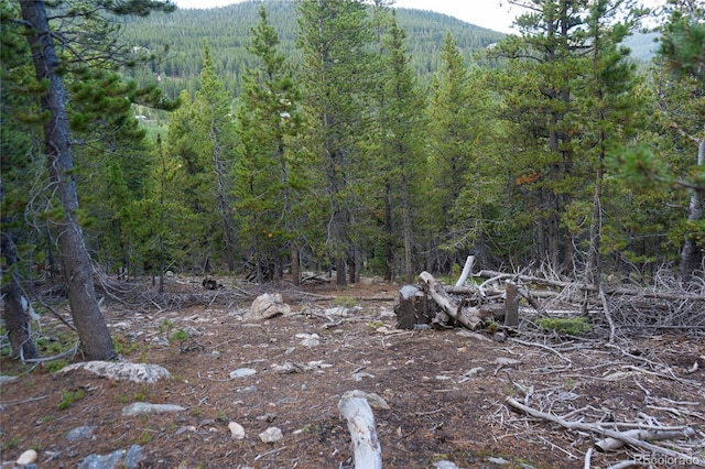 LOT328 Eva Rd, Idaho Springs, CO 80452