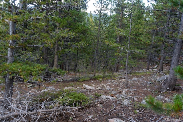 LOT328 Eva Rd, Idaho Springs, CO 80452