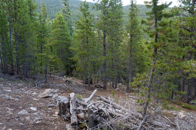 LOT328 Eva Rd, Idaho Springs, CO 80452