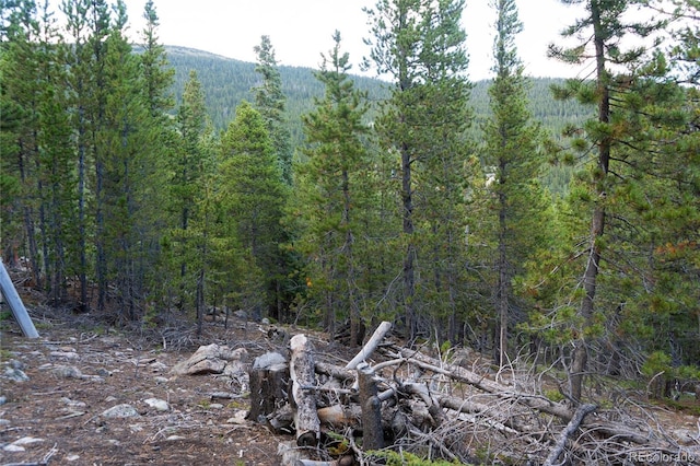 LOT328 Eva Rd, Idaho Springs, CO 80452
