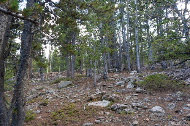 LOT328 Eva Rd, Idaho Springs, CO 80452