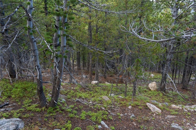LOT328 Eva Rd, Idaho Springs, CO 80452