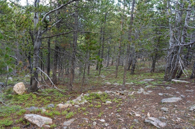 LOT328 Eva Rd, Idaho Springs, CO 80452