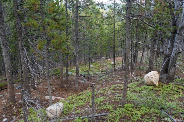 LOT328 Eva Rd, Idaho Springs, CO 80452