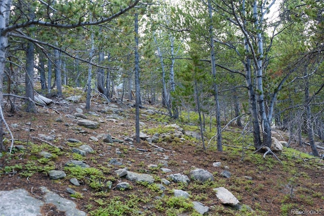 LOT328 Eva Rd, Idaho Springs, CO 80452