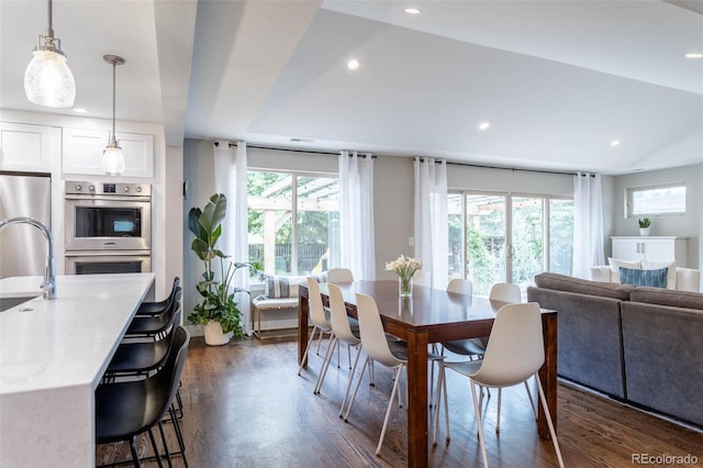 dining area featuring dark hardwood / wood-style flooring and sink