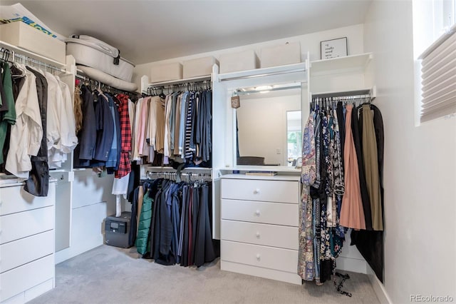 spacious closet featuring light colored carpet