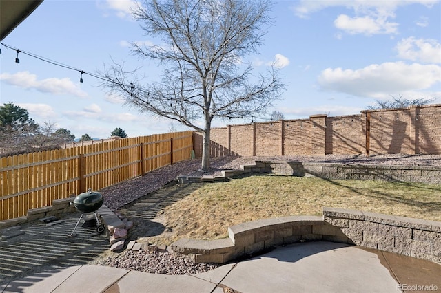 view of yard with a patio area and a fenced backyard