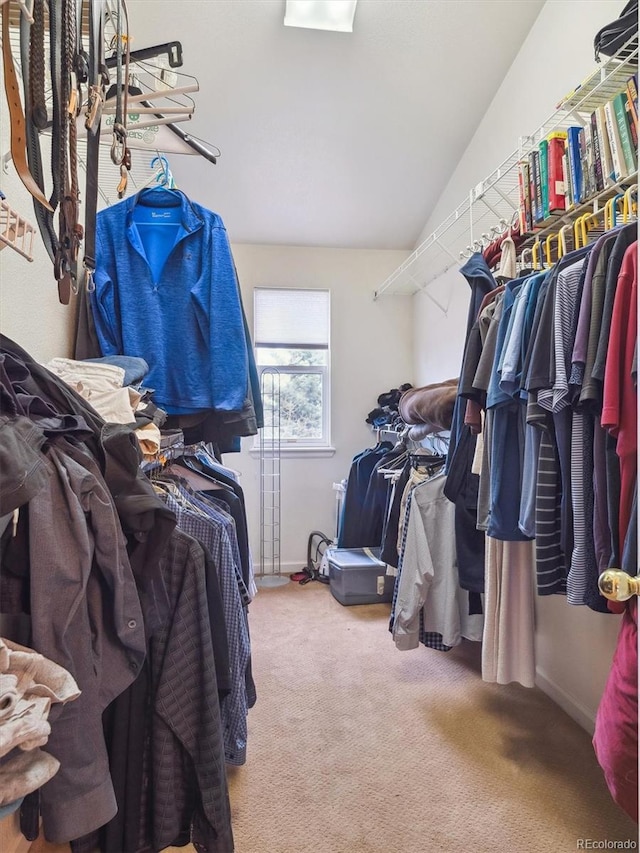 spacious closet featuring carpet flooring and lofted ceiling
