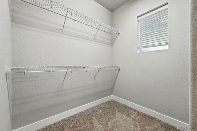 18541 W 93rd Pl, Arvada, CO 80007 - photo 27