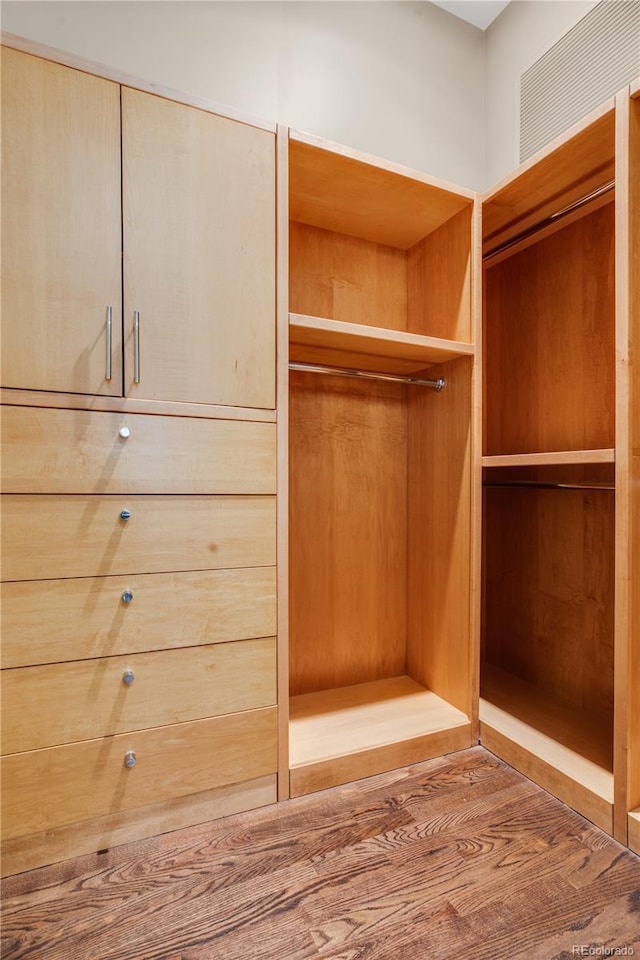 view of closet