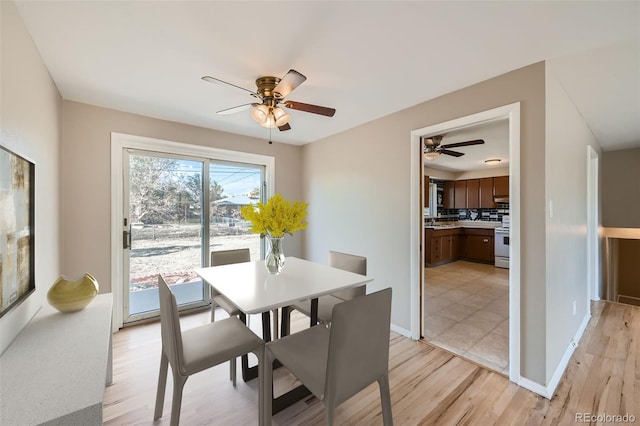 dining room featuring light hardwood / wood-style flooring and ceiling fan