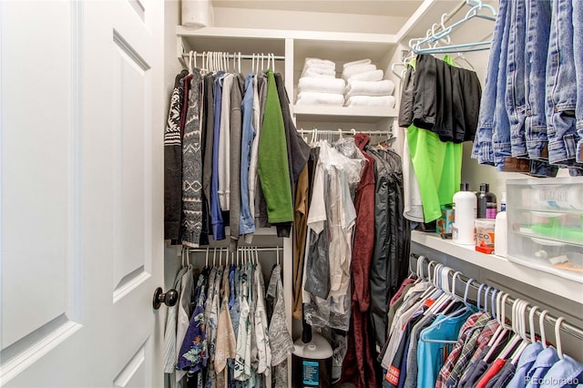 view of spacious closet