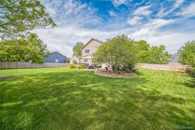 view of yard with a patio