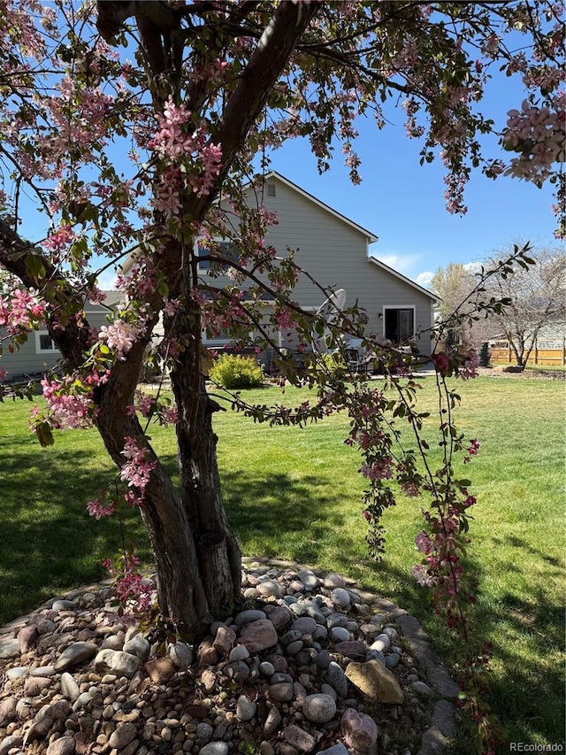 view of grassy yard