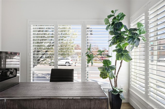 office area featuring a wealth of natural light