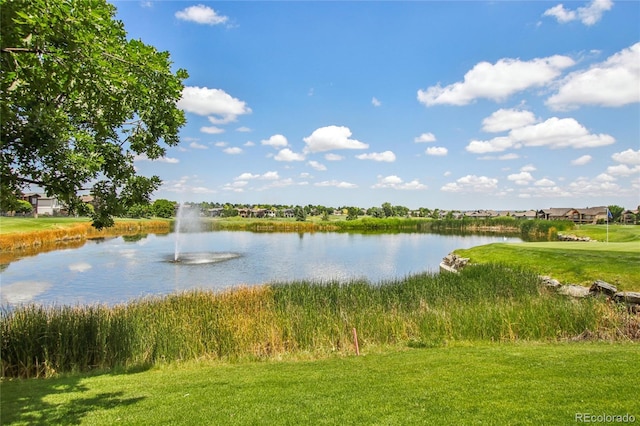 7258 Spanish Bay Dr, Windsor, CO 80550 - water view