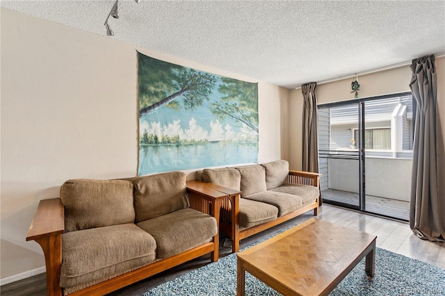 living room featuring light hardwood / wood-style floors and a textured ceiling