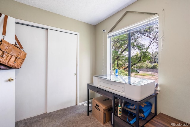 misc room featuring carpet flooring