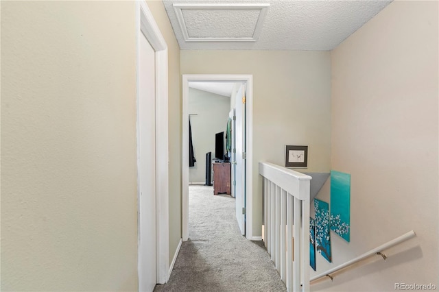 hallway with carpet floors and a textured ceiling