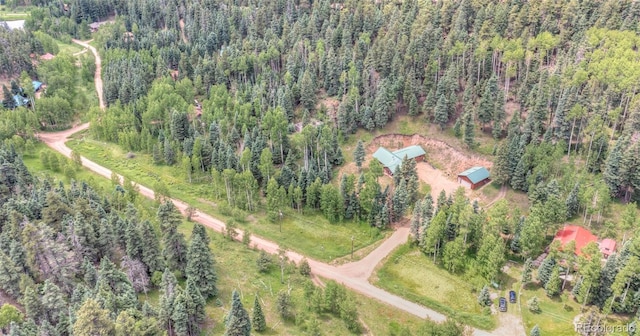 331 Westcliffe Dr, Rye, CO 81069 - photo 43
