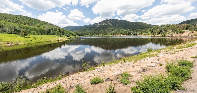 331 Westcliffe Dr, Rye, CO 81069 - photo 45