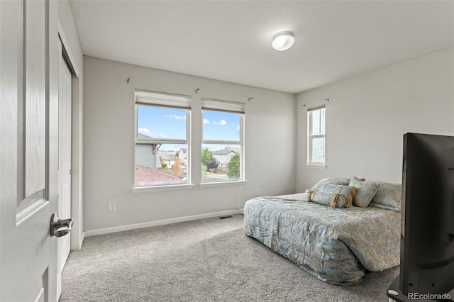 12218 Rockdale St, Parker, CO 80138 - photo 16