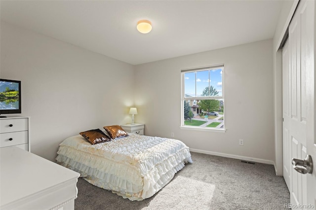 12218 Rockdale St, Parker, CO 80138 - photo 20