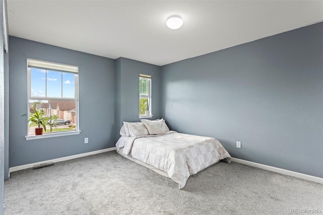 12218 Rockdale St, Parker, CO 80138 - photo 22
