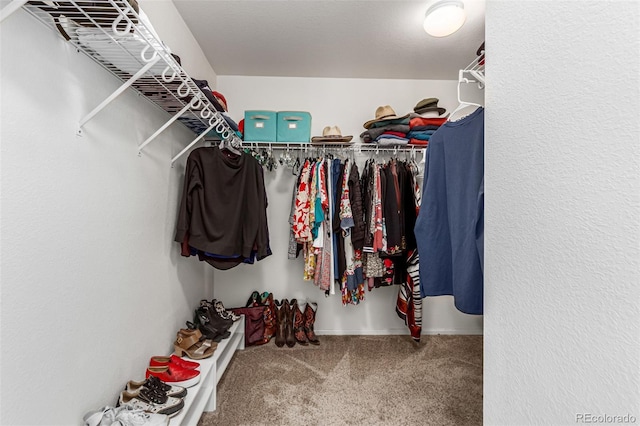 walk in closet featuring carpet