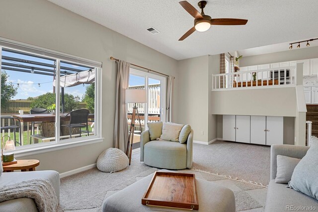 20356 Willowbend Ln, Parker, CO 80138 - photo 11