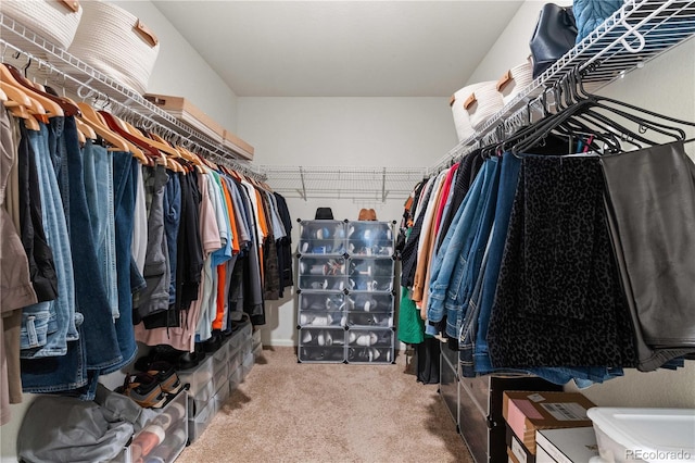 spacious closet with carpet floors