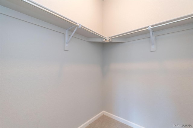 15443 W 65th Ave Unit B, Arvada, CO 80007 - spacious closet with carpet